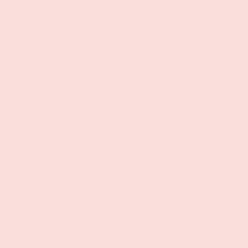 rose pale 800x800
